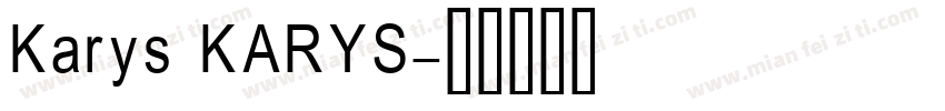 Karys KARYS字体转换